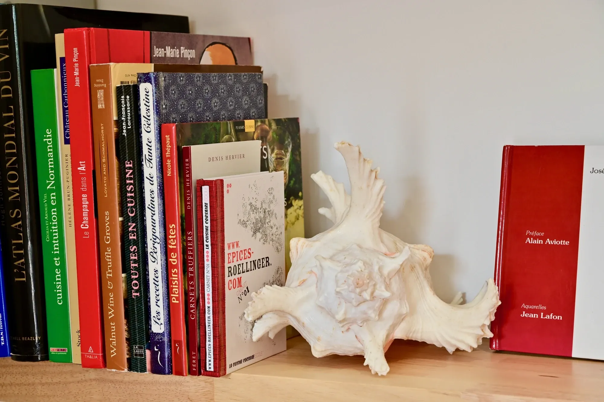 Bibliothèque et objets de décoration du salon